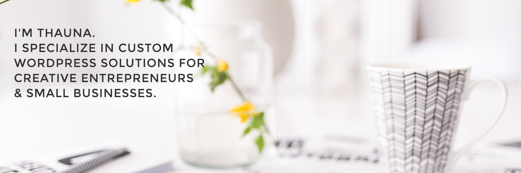 BellanoStudio's profile banner image