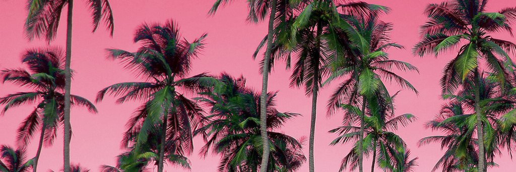 springbreak5eva's profile banner image