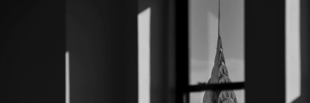 Observer Politics banner