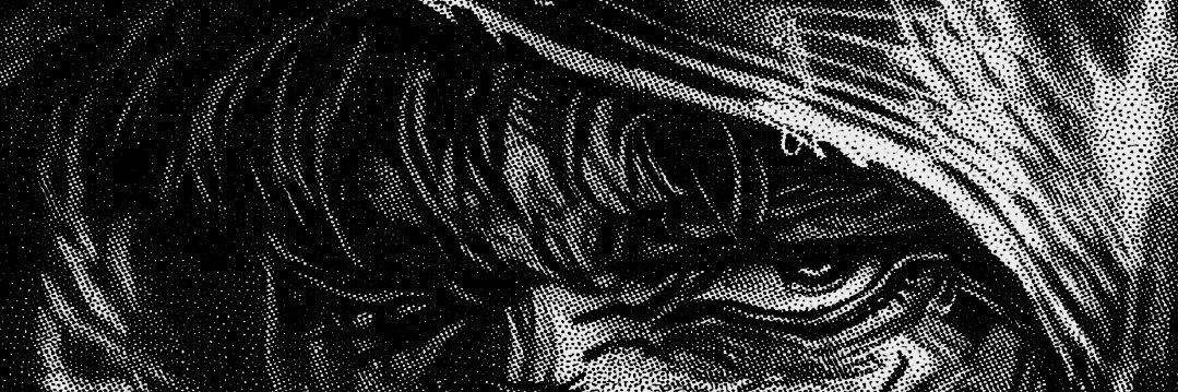 Paguts51's profile banner image
