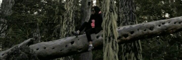 PamarobuRojas's profile banner image