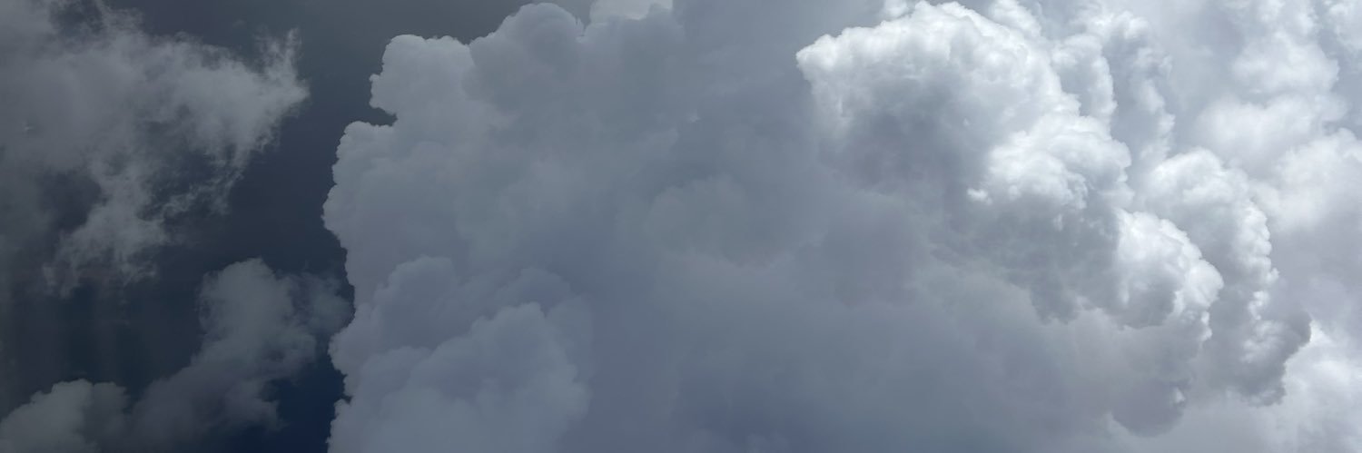 Morgan Stessman banner