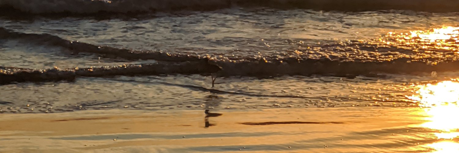 Cameron  Ring banner