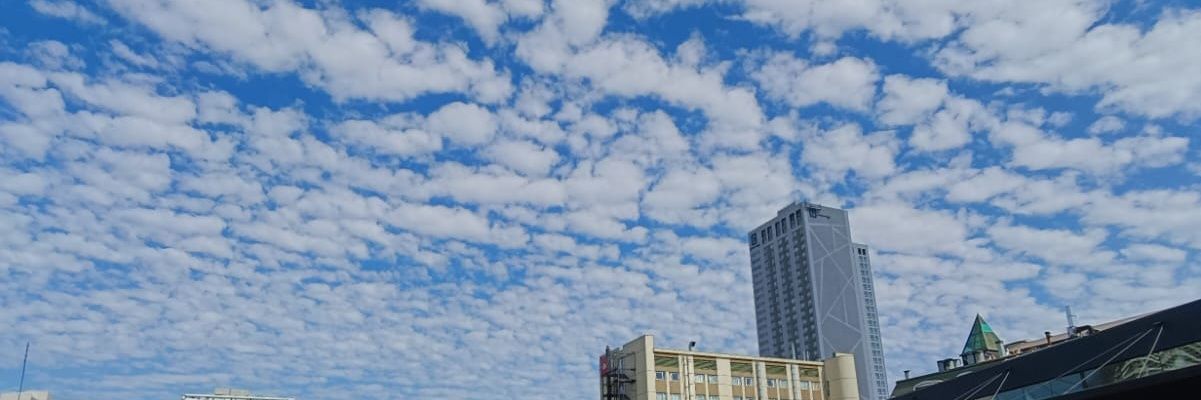 FdaConstanza's profile banner image