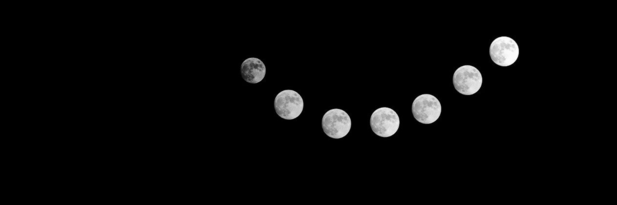 090WOLFIE's profile banner image