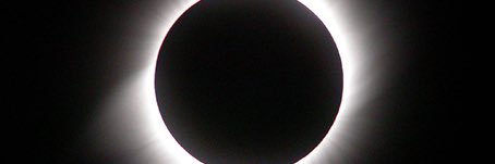 calatrose's profile banner image