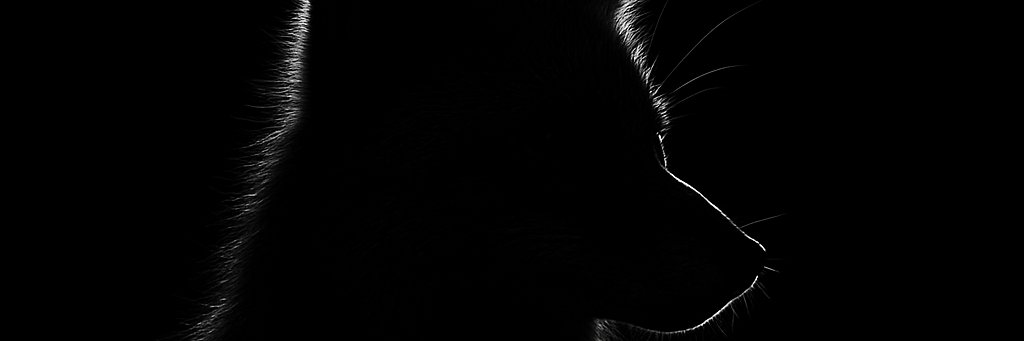m0chang's profile banner image