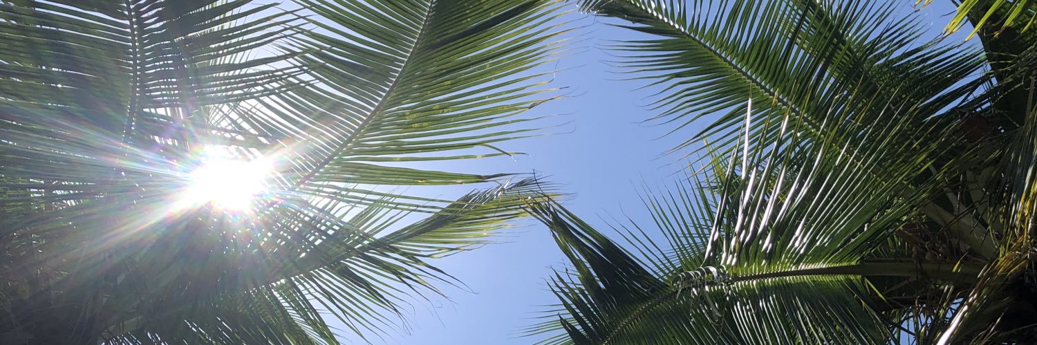 madmcd5's profile banner image