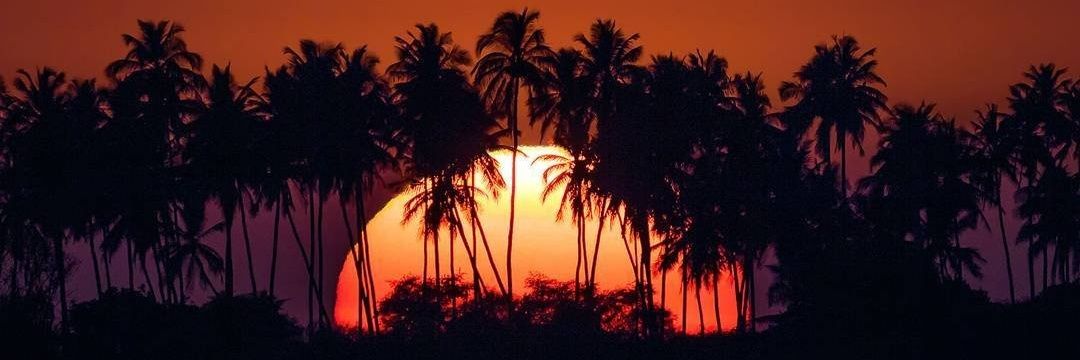 Omar Sánchez banner