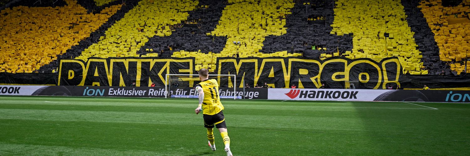 sedaverd's profile banner image
