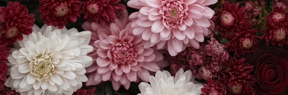 ashlavelli's profile banner image