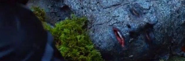 ingestsMeat's profile banner image