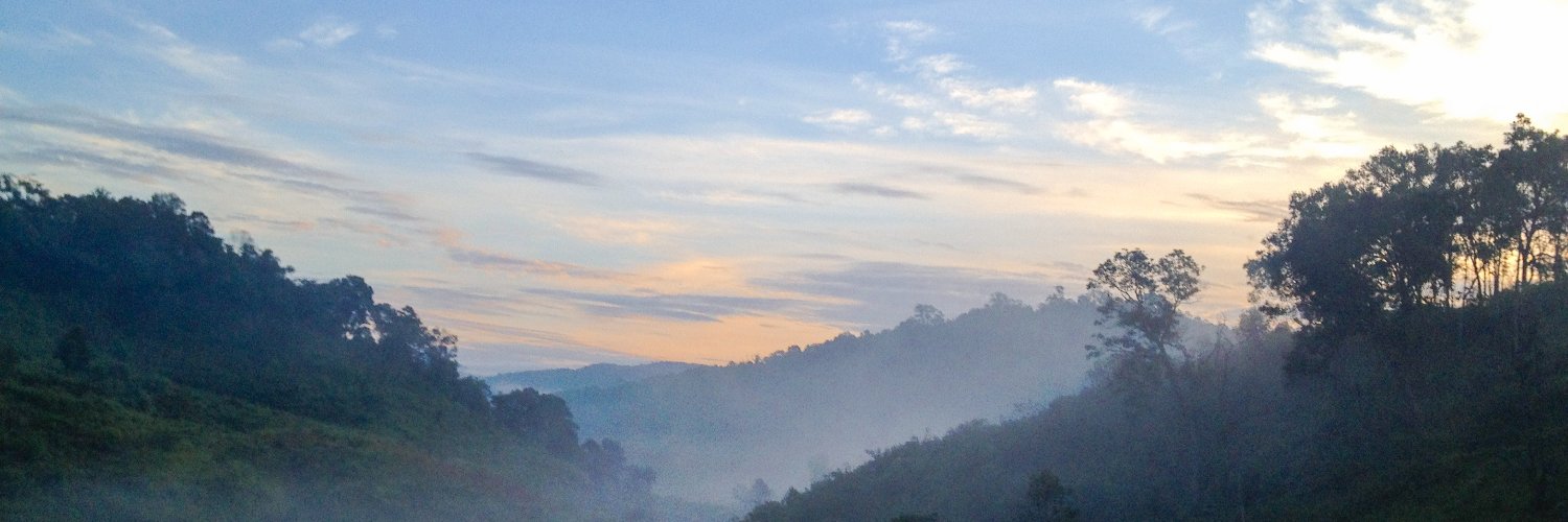 MerissaLalka58's profile banner image