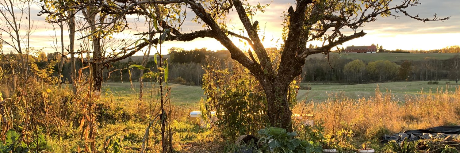 LivLindman's profile banner image