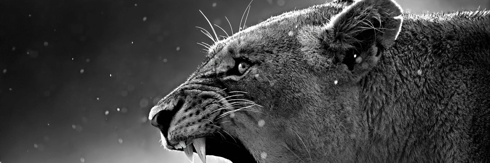 pablofra1's profile banner image