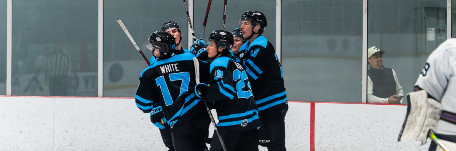 BluesWpg's profile banner image