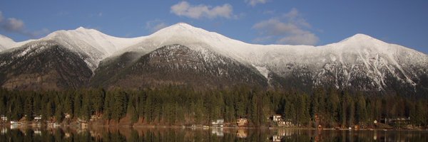 gonzoc5 Profile Banner