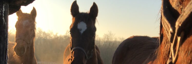 dharris117's profile banner image