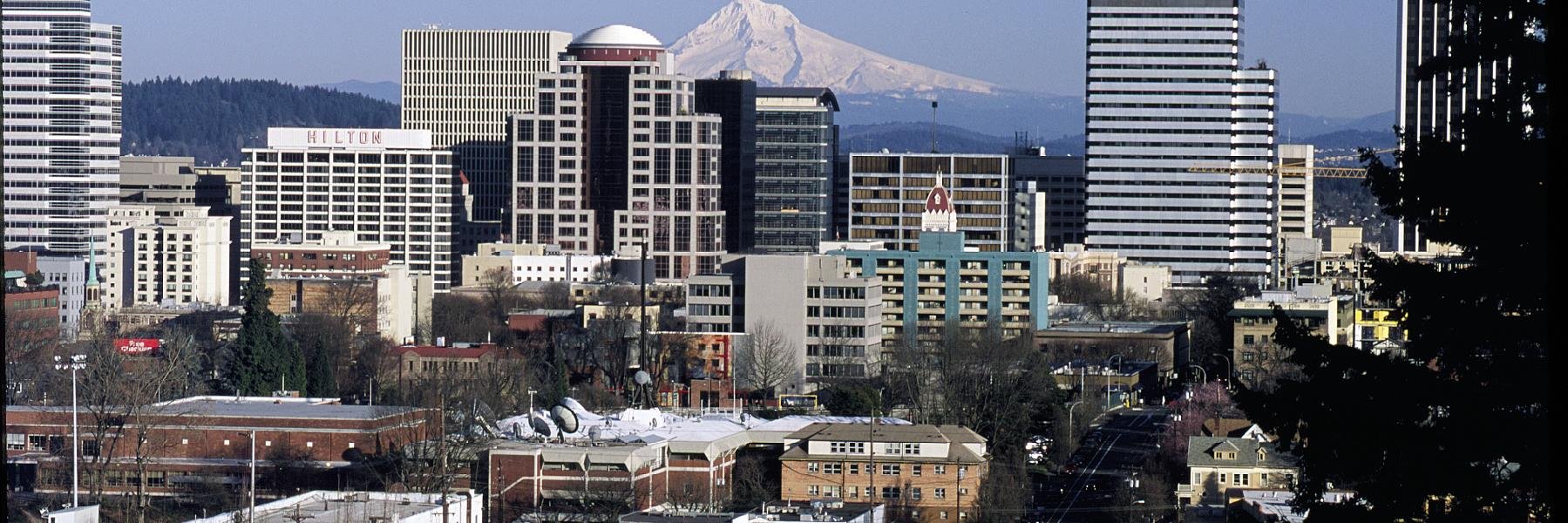 Richard Casimir banner