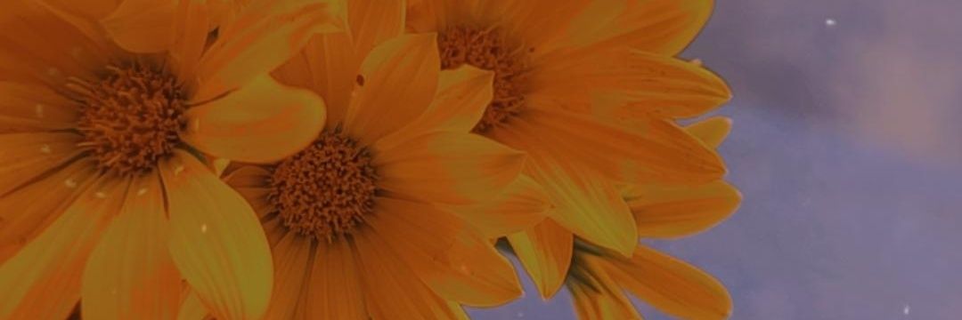 Enasa14's profile banner image