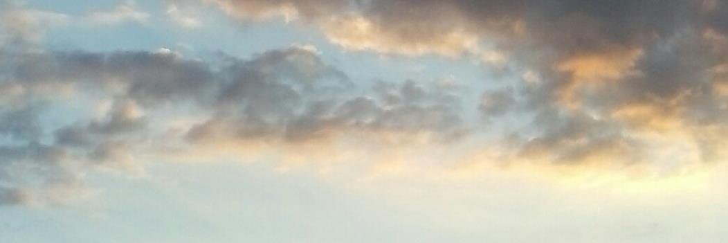 Elena G. O. banner