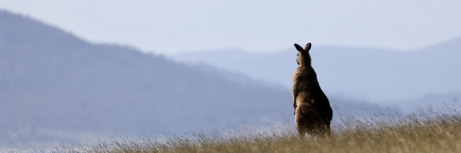 Friedrich Fauser banner