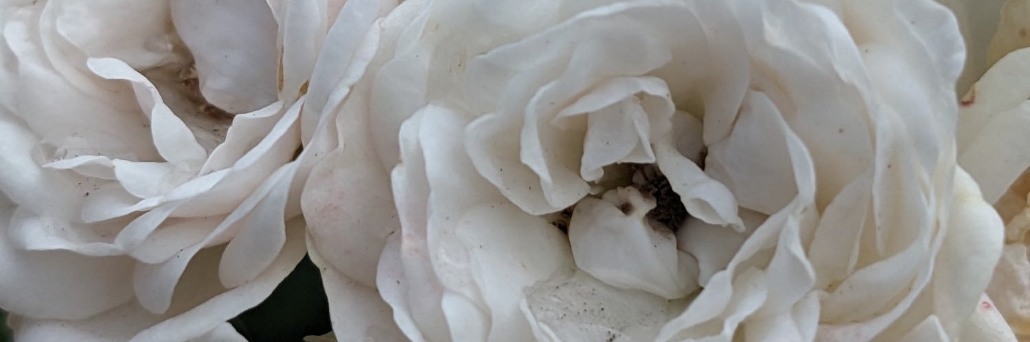 gabestrobel's profile banner image