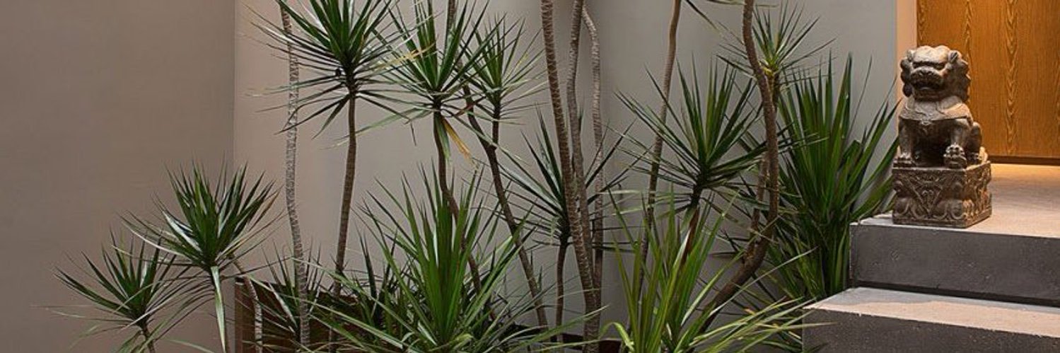 Madonna_C_'s profile banner image