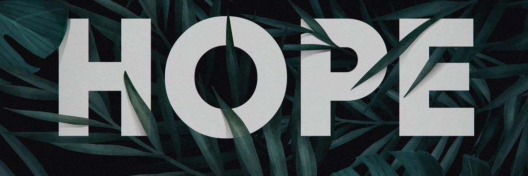 ohar4larbi's profile banner image