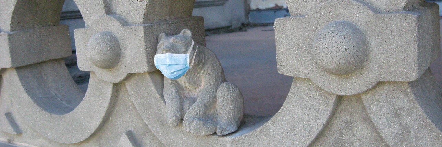 Littlest_Bear's profile banner image