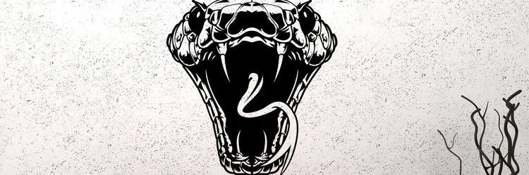 tandyjeanf's profile banner image