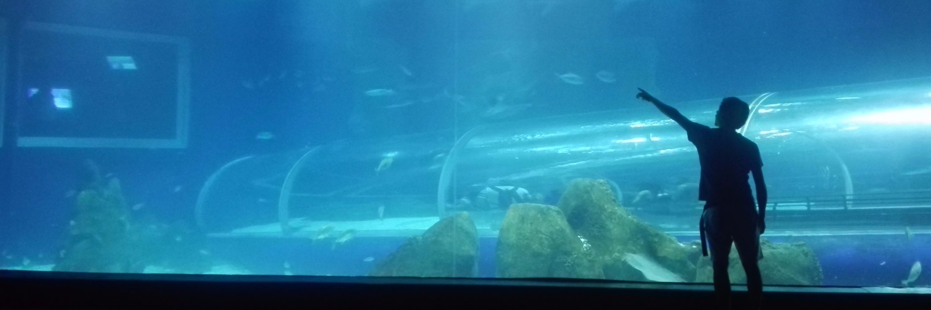 sch_j's profile banner image