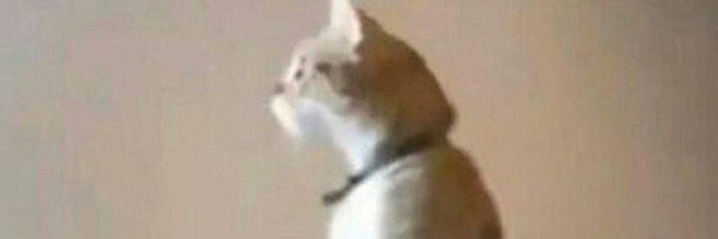 zachattackman2's profile banner image