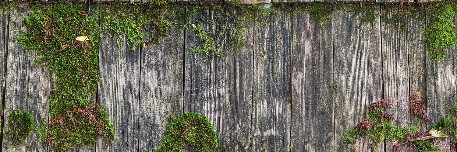 Bengan_com's profile banner image