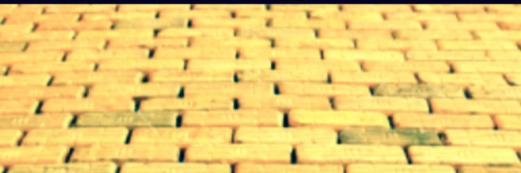 dina1055's profile banner image