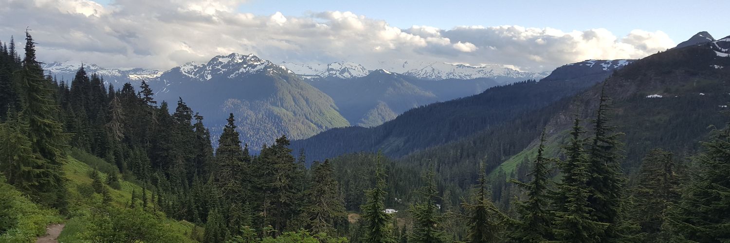 pubertneubert's profile banner image