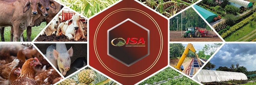 ISA Panamá banner