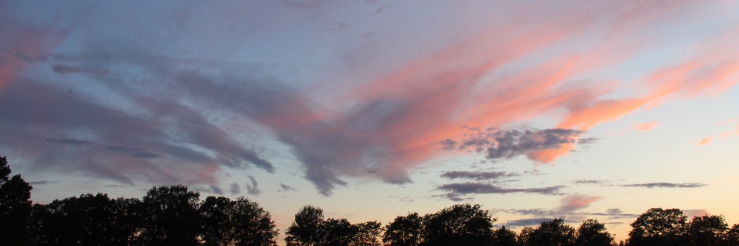 BjoAre's profile banner image