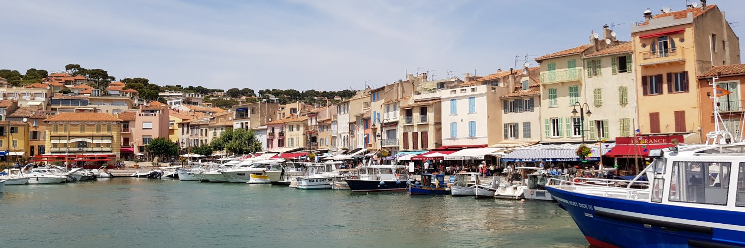 Nazanin Falconer banner