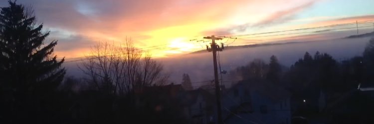 Zabee • zah🐝 🇱🇷 banner