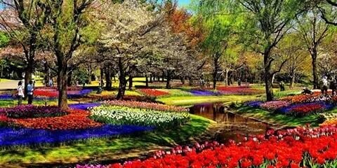 benli_seyma's profile banner image