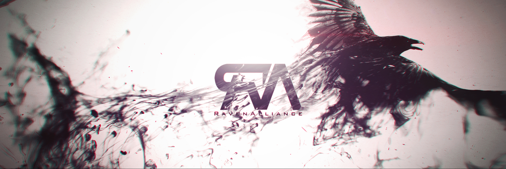 RavenAlliance_'s profile banner image