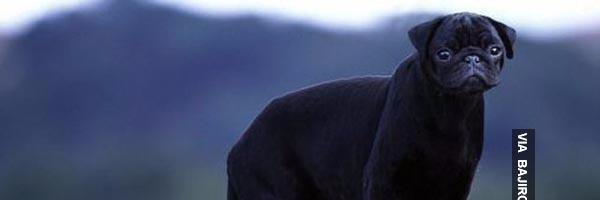 Justine8625's profile banner image