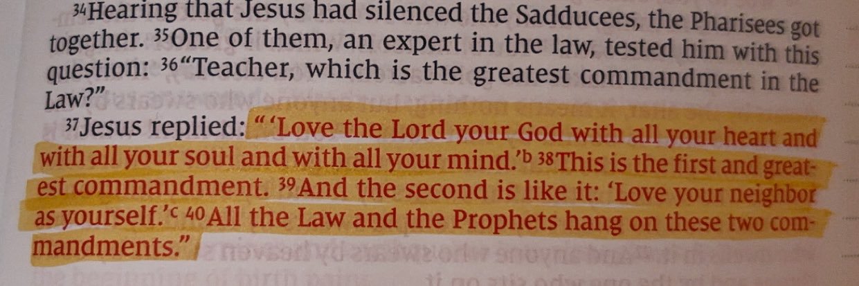 ✾ 𝑚𝑒𝑔 ✾ banner