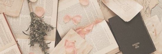 lisshior's profile banner image