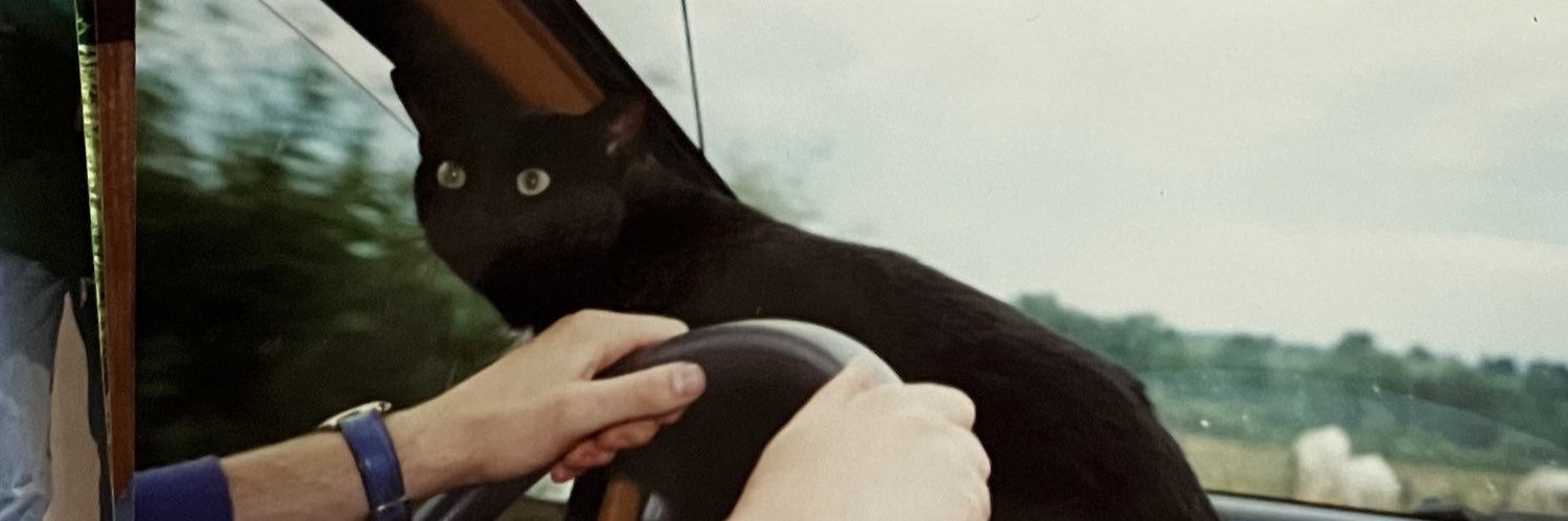 littloking's profile banner image