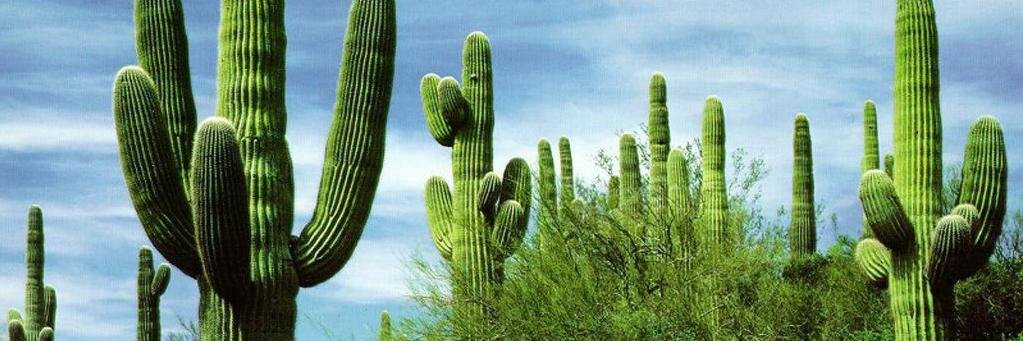 GpeSanchezP's profile banner image