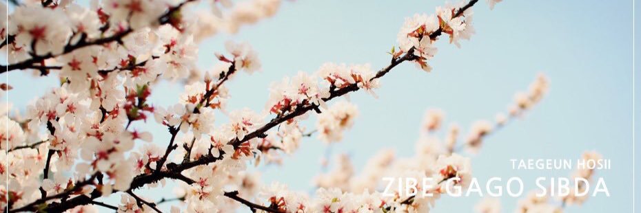 집주인 사자맨 🦁 겸연 🦁 banner
