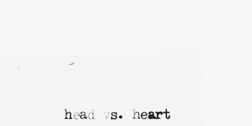 Victvdtogdr's profile banner image