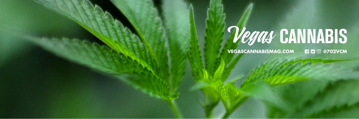 Vegas Cannabis Mag banner